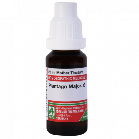 Show details for ADEL Plantago Major Mother Tincture Q - 20 ml Picture of ADEL Plantago Major Mother Tincture Q - 20 ml