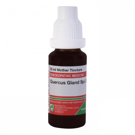 Picture of ADEL Quercus Gland Spi Mother Tincture Q - 20 ml