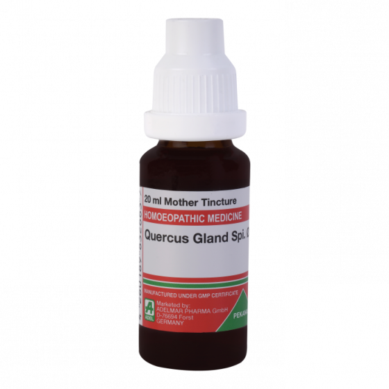 Show details for ADEL Quercus Gland Spi Mother Tincture Q - 20 ml Picture of ADEL Quercus Gland Spi Mother Tincture Q - 20 ml