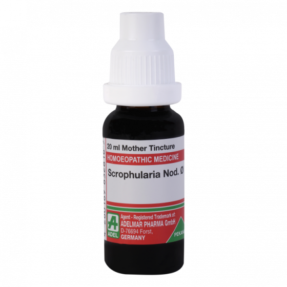 Picture of ADEL Scrophularia Nod Mother Tincture Q - 20 ml