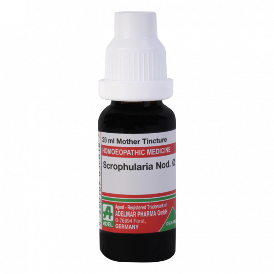 Show details for ADEL Scrophularia Nod Mother Tincture Q - 20 ml Picture of ADEL Scrophularia Nod Mother Tincture Q - 20 ml