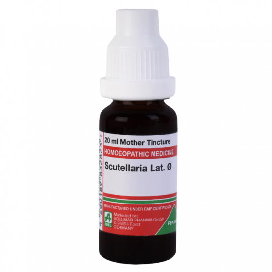 Show details for ADEL Scutellaria Lat Mother Tincture Q - 20 ml Picture of ADEL Scutellaria Lat Mother Tincture Q - 20 ml
