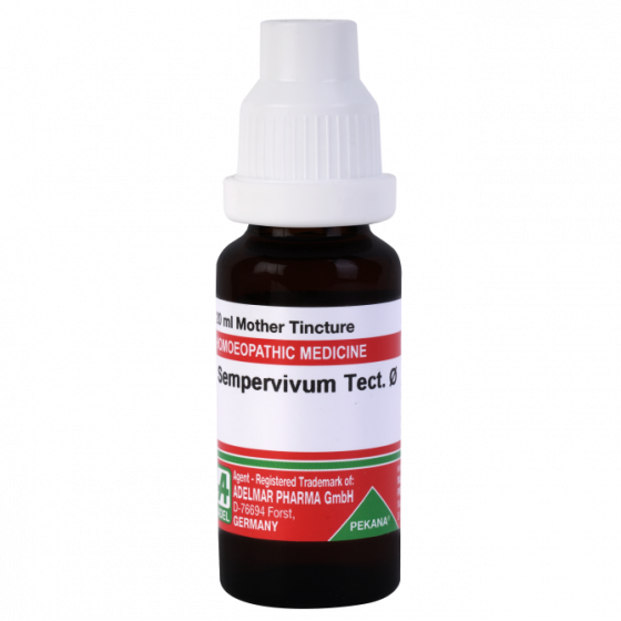 Show details for ADEL Sempervivum Tect Mother Tincture Q - 20 ml Picture of ADEL Sempervivum Tect Mother Tincture Q - 20 ml