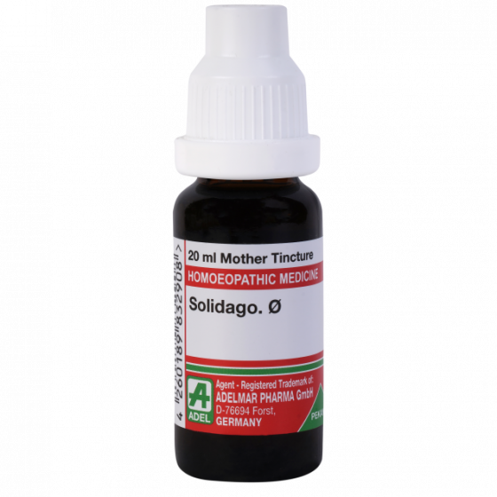 Picture of ADEL Solidago Mother Tincture Q - 20 ml