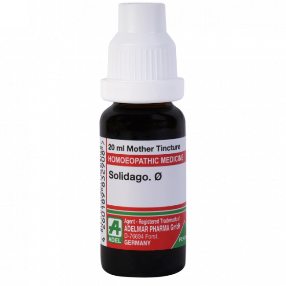 Show details for ADEL Solidago Mother Tincture Q - 20 ml Picture of ADEL Solidago Mother Tincture Q - 20 ml