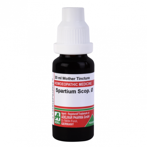 Show details for ADEL Spartium Scop Mother Tincture Q - 20 ml Picture of ADEL Spartium Scop Mother Tincture Q - 20 ml