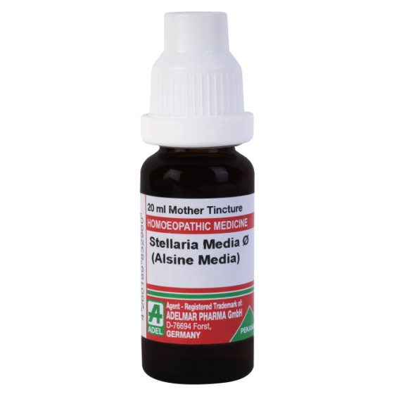 Show details for ADEL Stellaria Media Mother Tincture Q - 20 ml Picture of ADEL Stellaria Media Mother Tincture Q - 20 ml