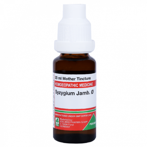 Show details for ADEL Syzygium Jamb Mother Tincture Q - 20 ml Picture of ADEL Syzygium Jamb Mother Tincture Q - 20 ml