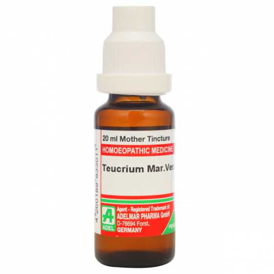 Show details for ADEL Teucrium Mar Ver Mother Tincture Q - 20 ml Picture of ADEL Teucrium Mar Ver Mother Tincture Q - 20 ml