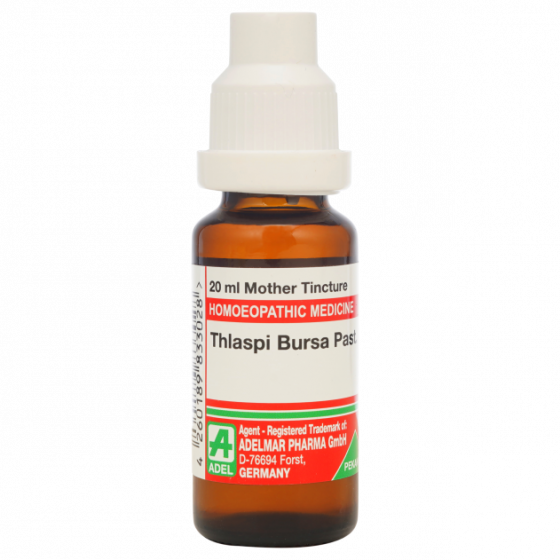Picture of ADEL Thlaspi Bursa Past Mother Tincture Q - 20 ml