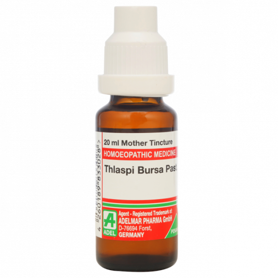 Show details for ADEL Thlaspi Bursa Past Mother Tincture Q - 20 ml Picture of ADEL Thlaspi Bursa Past Mother Tincture Q - 20 ml