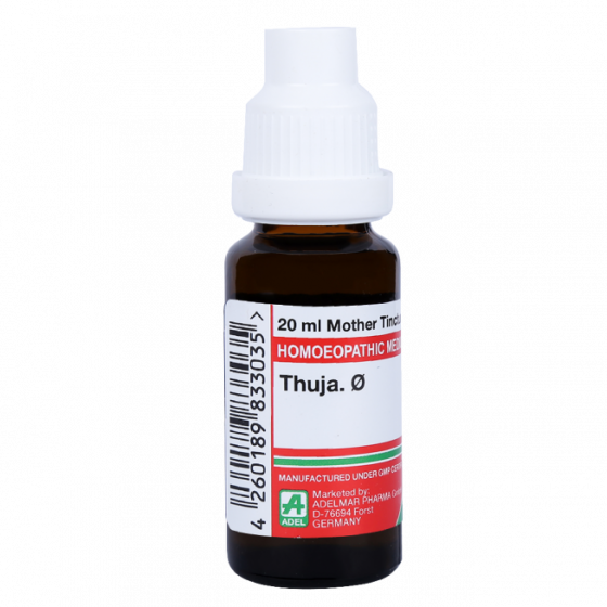 Show details for ADEL Thuja Mother Tincture Q - 20 ml Picture of ADEL Thuja Mother Tincture Q - 20 ml