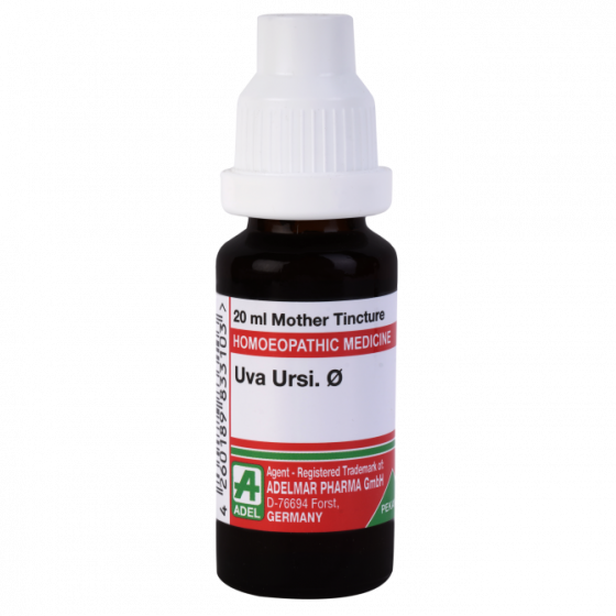Show details for ADEL Uva Ursi Mother Tincture Q  - 20 ml Picture of ADEL Uva Ursi Mother Tincture Q  - 20 ml