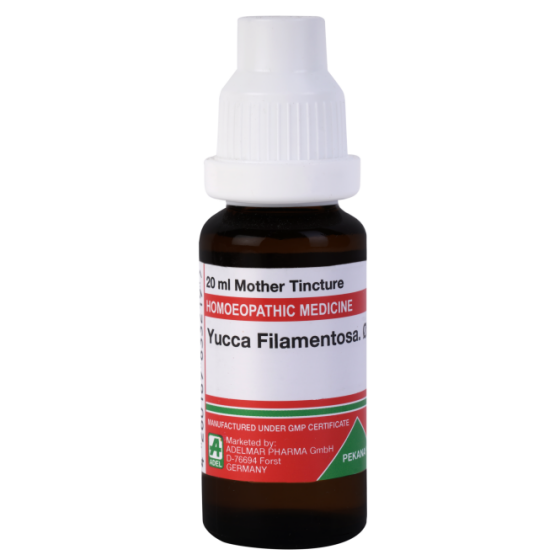 Picture of ADEL Yucca Filamentosa Mother Tincture Q - 20 ml