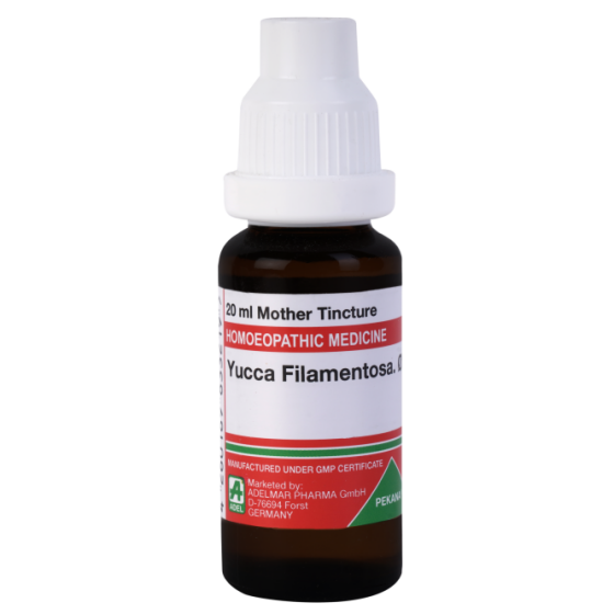 Show details for ADEL Yucca Filamentosa Mother Tincture Q - 20 ml Picture of ADEL Yucca Filamentosa Mother Tincture Q - 20 ml