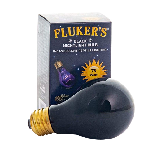 Picture of Flukers Black Nightlight Incandescent Bulb
