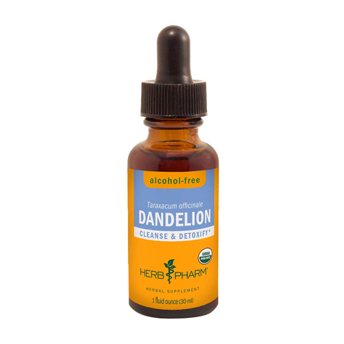 Show details for Herb Pharm Dandelion Glycerite Picture of Herb Pharm Dandelion Glycerite