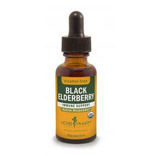 Show details for Black Elderberry Glycerite Picture of Black Elderberry Glycerite
