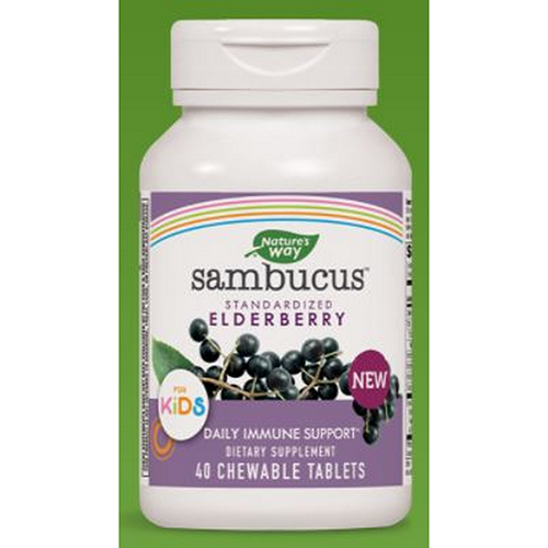 Show details for Nature's Way Sambucus for Kids Standardized Elderberry Picture of Nature's Way Sambucus for Kids Standardized Elderberry