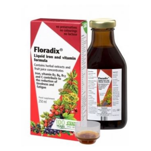Picture of Gaia Herbs Floradix Iron & Herbs Liquid