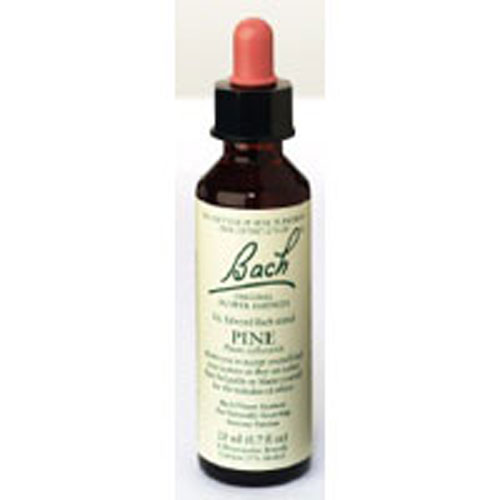 Show details for Bach Flower Remedies Flower Essence Pine Picture of Bach Flower Remedies Flower Essence Pine