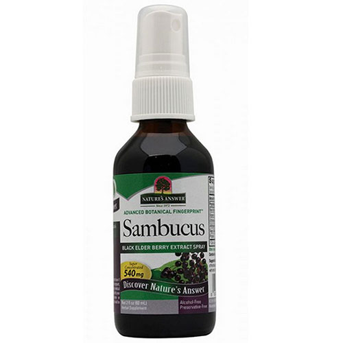 Picture of Nature's Answer Sambucus Black Elder Berry Spray