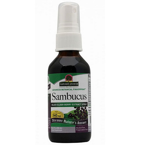 Show details for Nature's Answer Sambucus Black Elder Berry Spray Picture of Nature's Answer Sambucus Black Elder Berry Spray