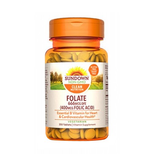 Picture of Sundown Naturals Sundown Naturals Folic Acid