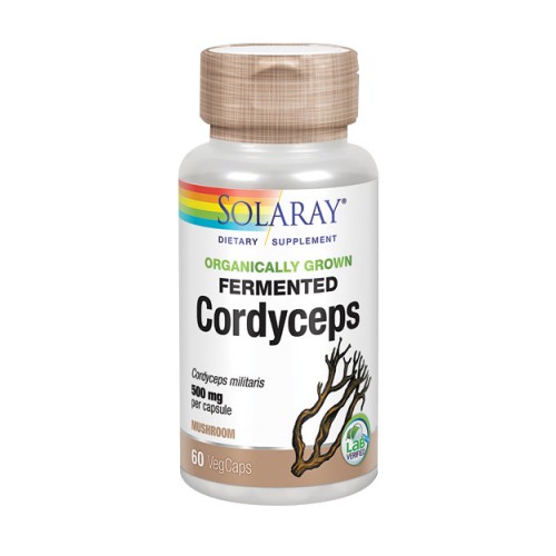 Picture of Fermented Cordyceps
