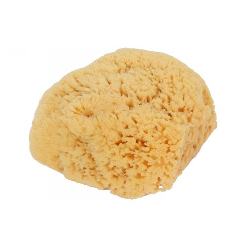 Picture of Bass Brushes Natural Sea Sponge Bath-Shower Large