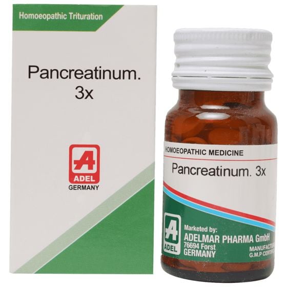 Show details for ADEL Pancreatinum 3x Picture of ADEL Pancreatinum 3x