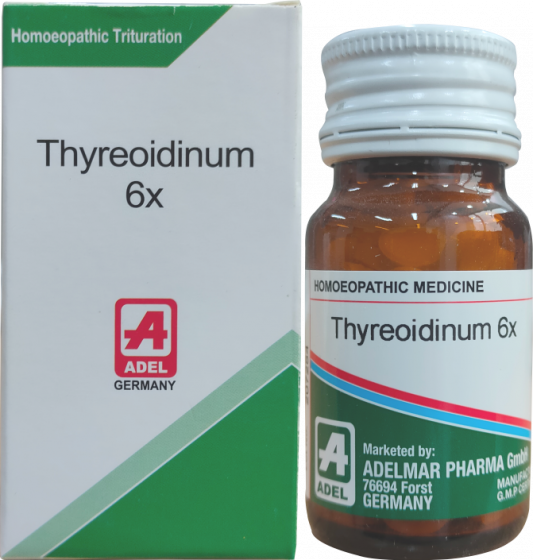 Show details for ADEL Thyreoidinum 6x Picture of ADEL Thyreoidinum 6x