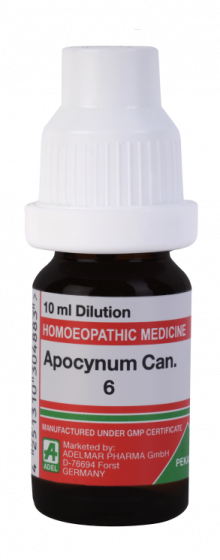 Picture of Apocynum Can