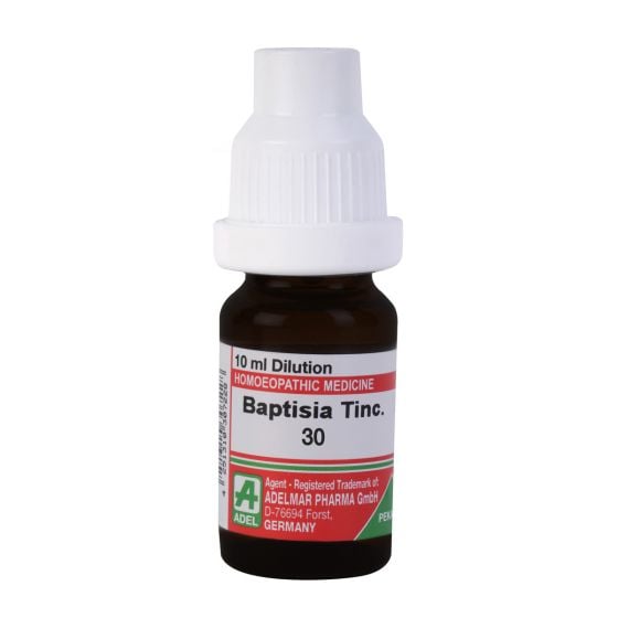 Show details for ADEL Baptisia Tinc Dilution - 10 ml Picture of ADEL Baptisia Tinc Dilution - 10 ml