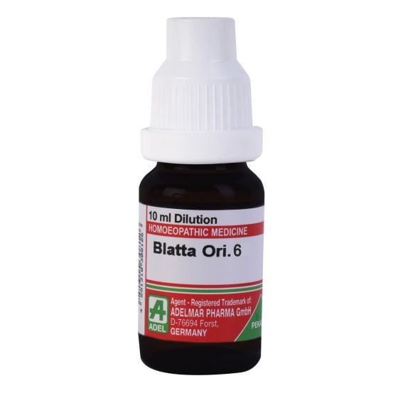 Show details for ADEL Blatta Ori Dilution - 10 ml Picture of ADEL Blatta Ori Dilution - 10 ml