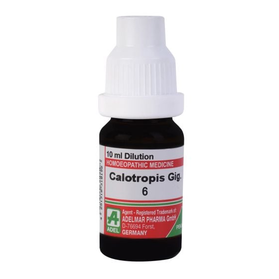 Show details for ADEL Calotropis G Dilution - 10 ml Picture of ADEL Calotropis G Dilution - 10 ml