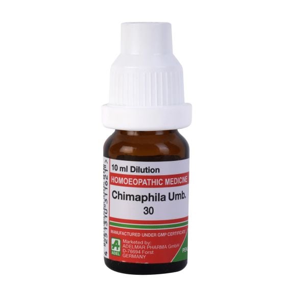 Picture of ADEL Chimaphila Umb Dilution - 10 ml