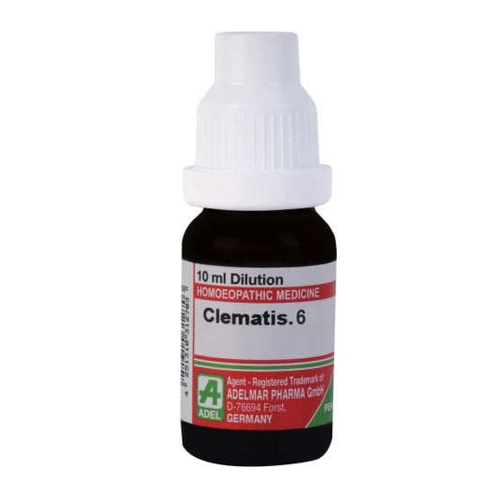 Show details for ADEL Clematis Dilution - 10 ml Picture of ADEL Clematis Dilution - 10 ml