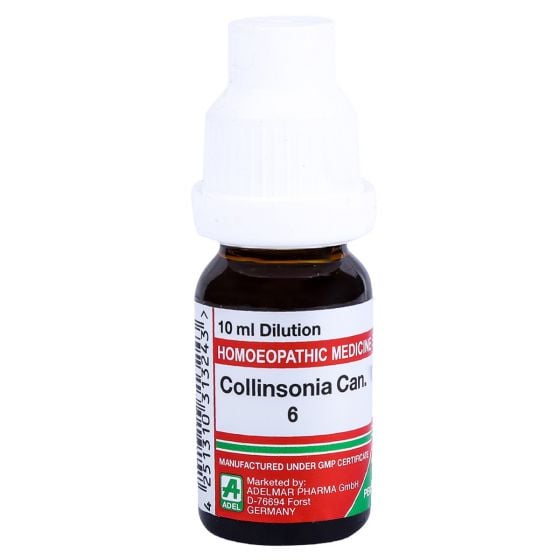 Show details for ADEL Collinsonia Can Dilution - 10 ml Picture of ADEL Collinsonia Can Dilution - 10 ml