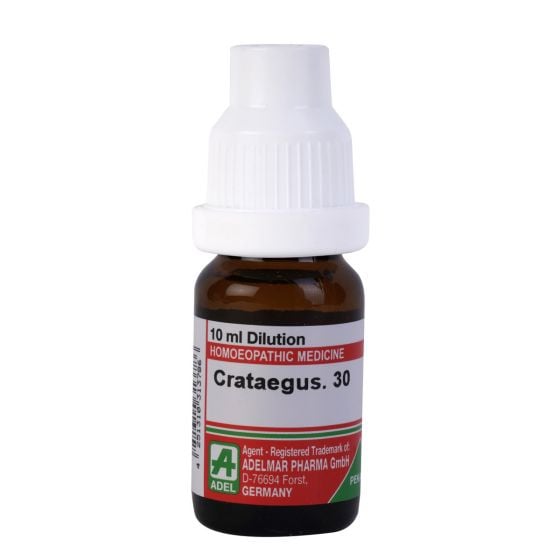 Show details for ADEL Crataegus Dilution - 10 ml Picture of ADEL Crataegus Dilution - 10 ml