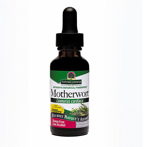 Show details for Nature's Answer Motherwort Herb Picture of Nature's Answer Motherwort Herb