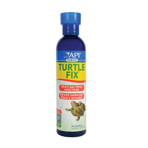 Picture of API Turtle Fix