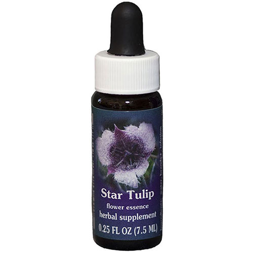 Picture of Star Tulip Dropper