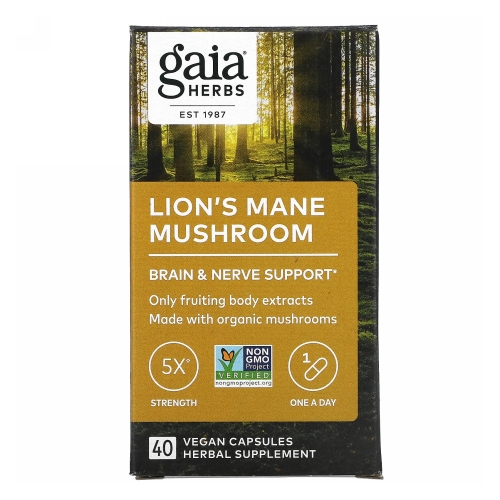 Picture of Lion's Mane Mushroom