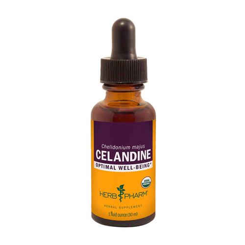 Picture of Celandine Extract