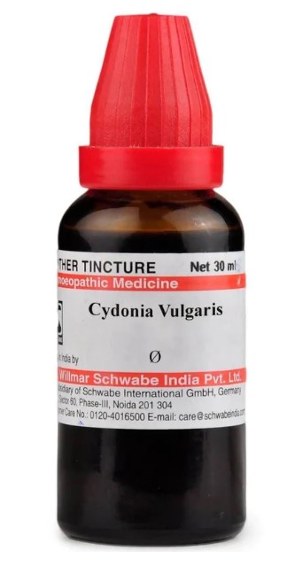 Show details for Dr. Willmar Schwabe India Cydonia Vulgaris Mother Tincture Q - 30 ml Picture of Dr. Willmar Schwabe India Cydonia Vulgaris Mother Tincture Q - 30 ml