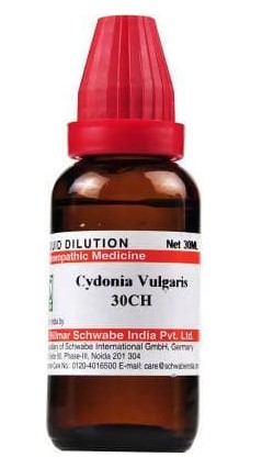 Picture of Dr Willmar Schwabe India Cydonia Vulgaris Dilution - 30 CH - 30 ml