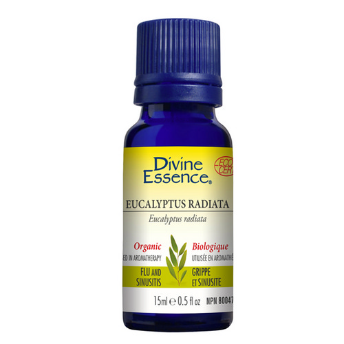 Picture of Organic Essential Oil Eucalyptus Radiata  15 Ml