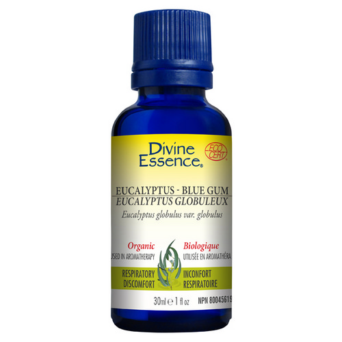 Picture of Organic Essential Oil Eucalyptus Blue Gum  30 Ml