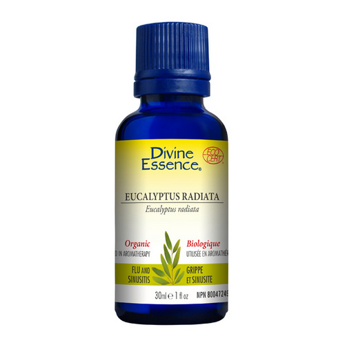 Picture of Organic Essential Oil Eucalyptus Radiata  30 Ml